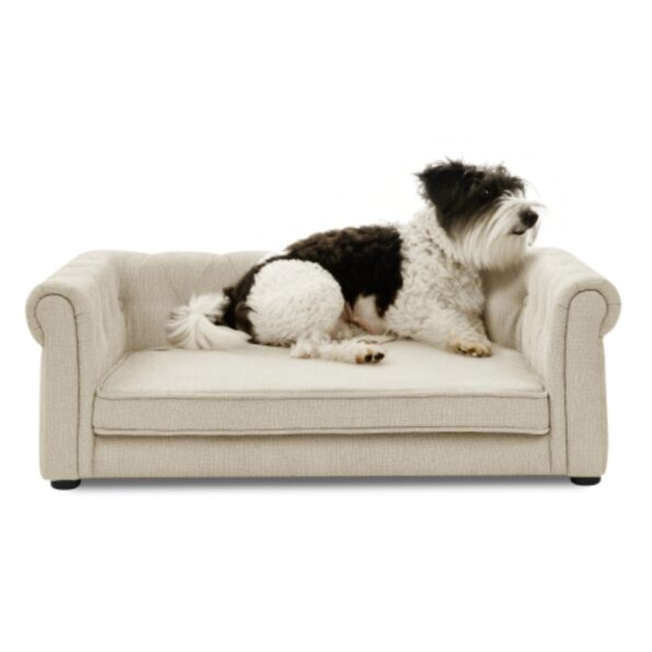 Stylish and Durable Rectangle Pet Bed for Medium and Large Dogs_5